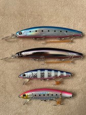 Sea Cherry Salmon, Sea Char, Sea Bass, Yellowtail, Spanish Mackerel, Minnow,