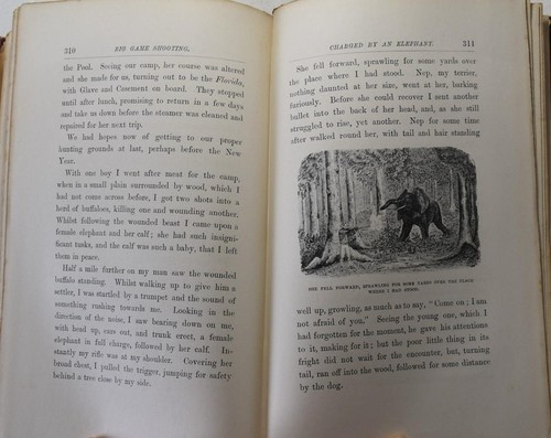 TRAVEL & ADVENTURE IN THE CONGO FREE STATE & ITS BIG GAME, Bula N'zau, 1894 - Picture 4 of 6