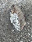 Rough White Quartz Rock Specimen with Brown Matrix Mineral — photo 2