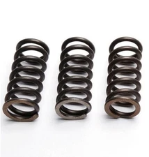 EBC Clutch Spring Set (3 PCS) - CSK269