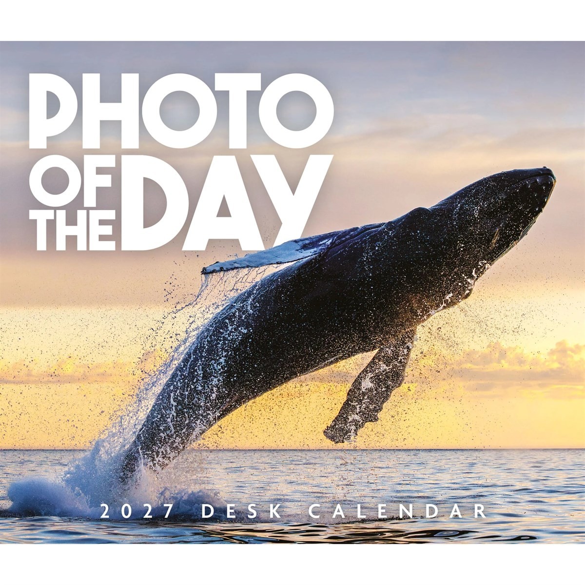Photo Of The Day Desk Calendar 2027, Desk Calendars, Day To View, Gift