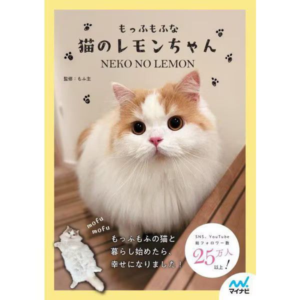 Lemon Cat Hardcover Excellent Japan Used For Ages 14+