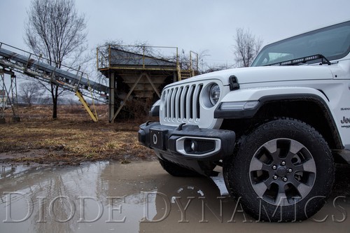 Clear LED Sidemarkers for 2018-2025 Jeep JL Wrangler (pair) Diode Dynamics - Picture 15 of 19