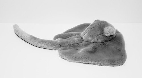 stuffed stingray