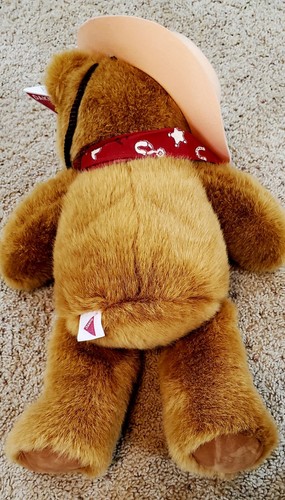 Peluche Dakin Jackson Hole Jake Bear 1993 con etichette 05328 Western Cowboy raro - Foto 6 di 13