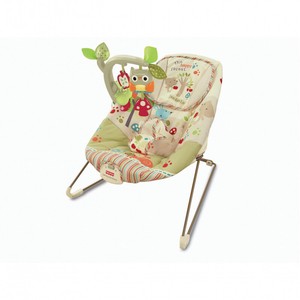 calming vibrations bouncer