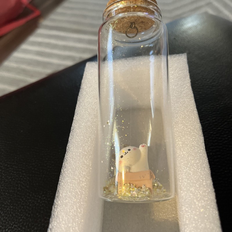 2Ml Small Mini Glass Bottles Jars with Cork Stoppers.Wishing Bottle Kitty In Box