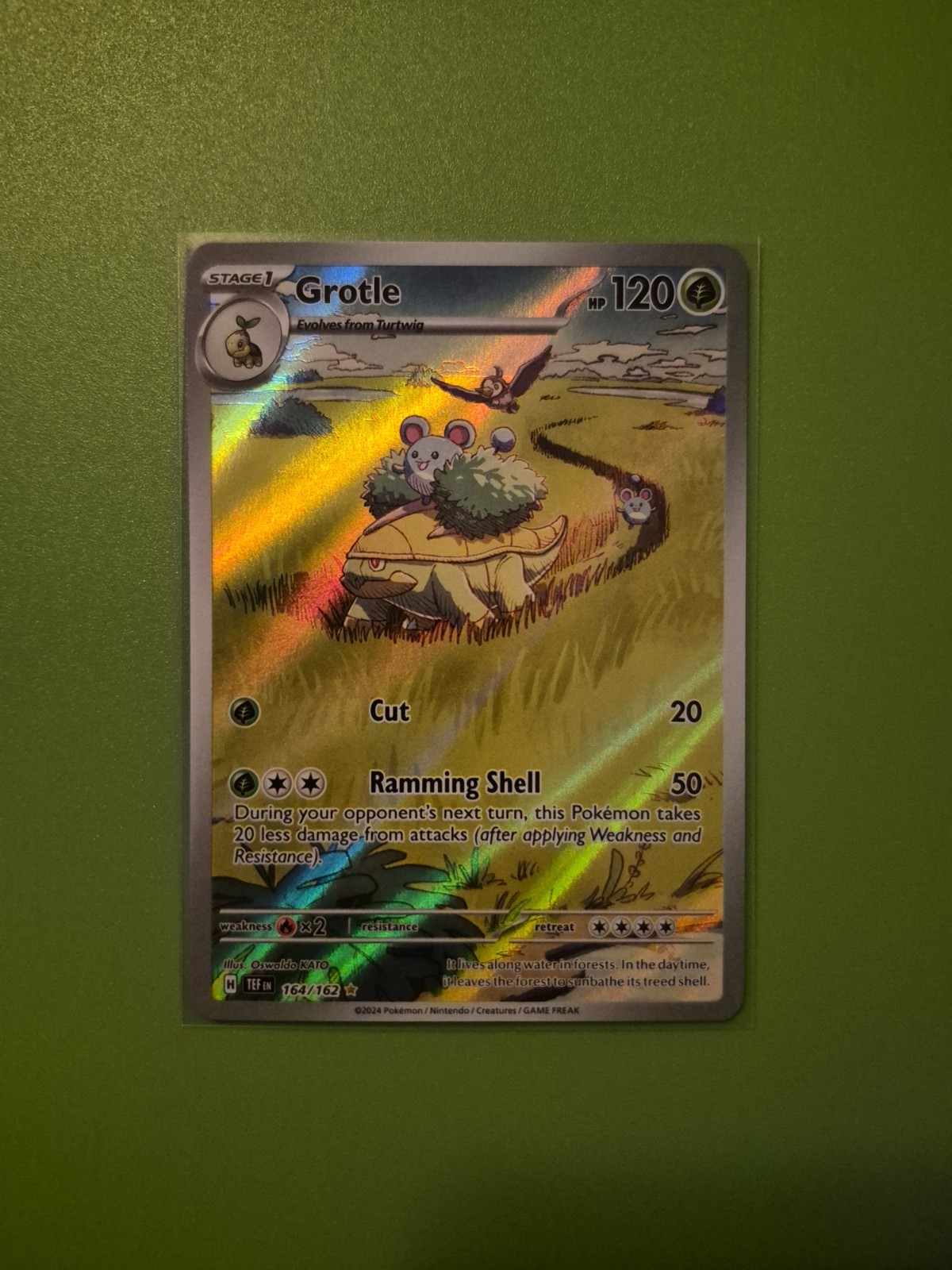 Pokemon Temporal Forces GROTLE 164 Illustration Rare Holo ⚔️