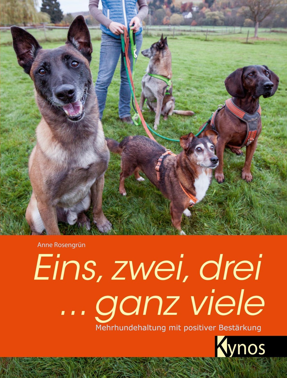 Eins, zwei, drei ... ganz viele Anne Rosengrün