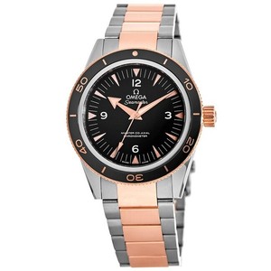 omega seamaster 300 ebay