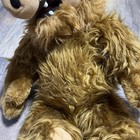 Bild 8 von 12
