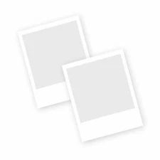 Energy (Small Furry Animals)