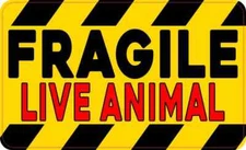 5in x 3in Red Fragile Live Animal Sticker Car Truck Vehicle Bumper Decal