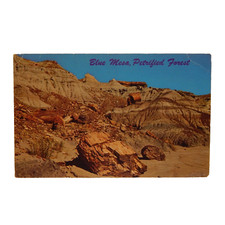 ARIZONA PETRIFIED FOREST NATIONAL MONUMENT BLUE MESA
