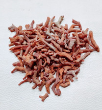 100 Natural Red Coral Branch Gemstone Genuine Italy Coral Rough 30 Carat One Lot