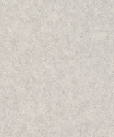 Tapete Vlies Rasch Andy Wand Einfarbig Struktur Grau 649321 (3,07€/1Qm)