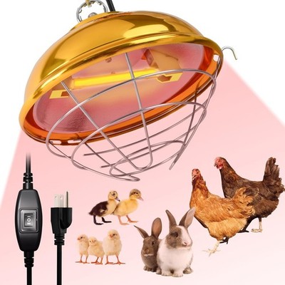 250W Chicken Coop Heater with 2PCS Heat Lamp, Brooder Heater for 30 Chicks or Du