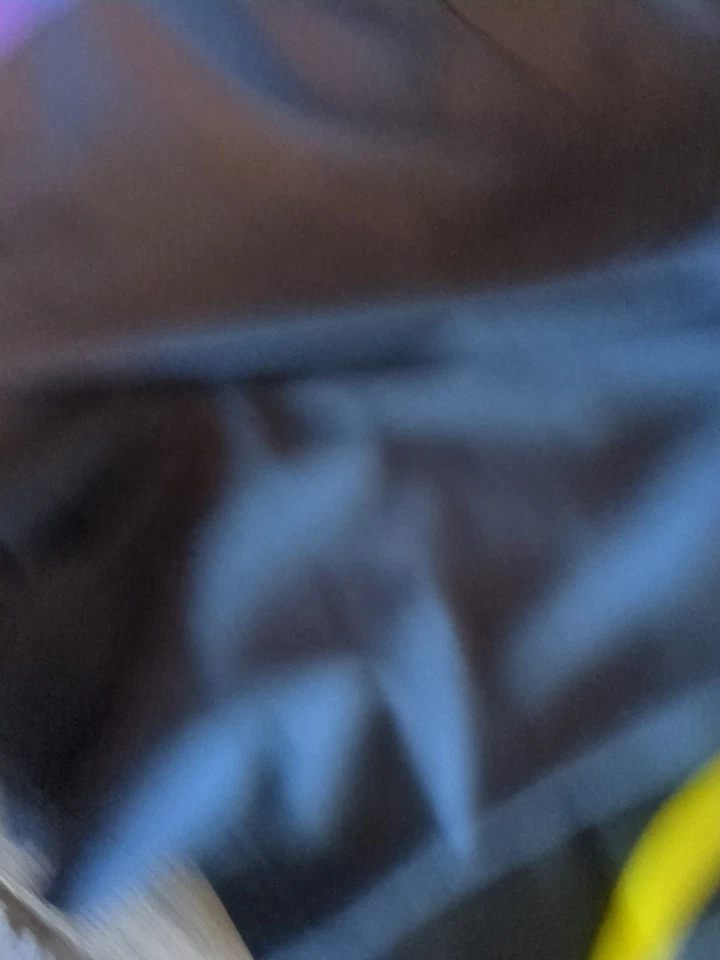 Pantalones Cortos Hayabusa Para Hombres 36 L Negro Púrpura Rayas MMA Grappling Jiu-Jitsu Muay Thai Foto 4 de 4