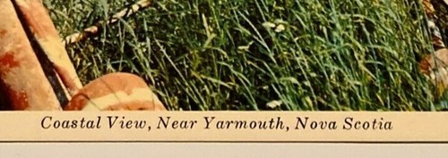 Coastal View Near Yarmouth Nova Scotia VTG Postcard Canada Lobster Tuna Area - Picture 3 of 6