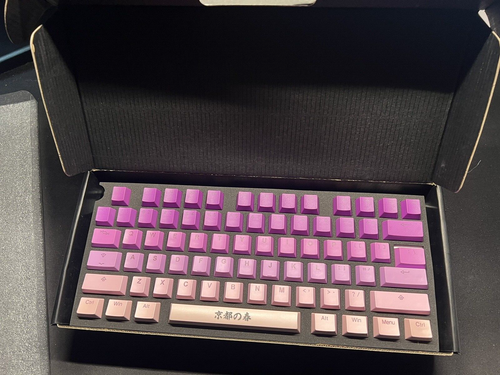 Tai-Hao Spring in Kyoto 143 Key Cubic Profile Double Shot PBT Backlit Keycap Set - Bild 3 von 5