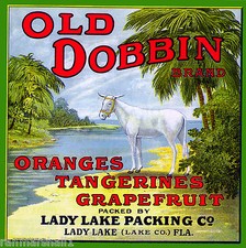 Lady Lake Florida Old Dobbin Donkey Mule Orange Citrus Fruit Crate Label Print