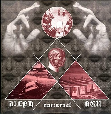ALEPH NULL - NOCTURNAL - Vinyl Record 2xLPs - G3z