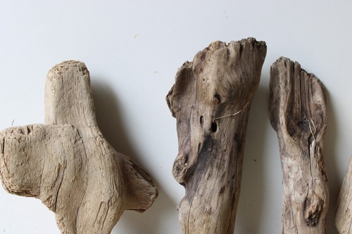 Treibholz Schwemmholz Driftwood 6 knorrige Hölzer Terrarium 22-28 cm **E99** - Bild 3 von 14