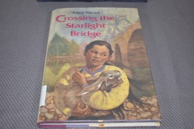 Crossing the Starlight Bridge by Alice Mead (1st Edition/Print, 1994, Hardcover)