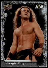 2022 Upper Deck AEW Jungle Boy #20 Pyro