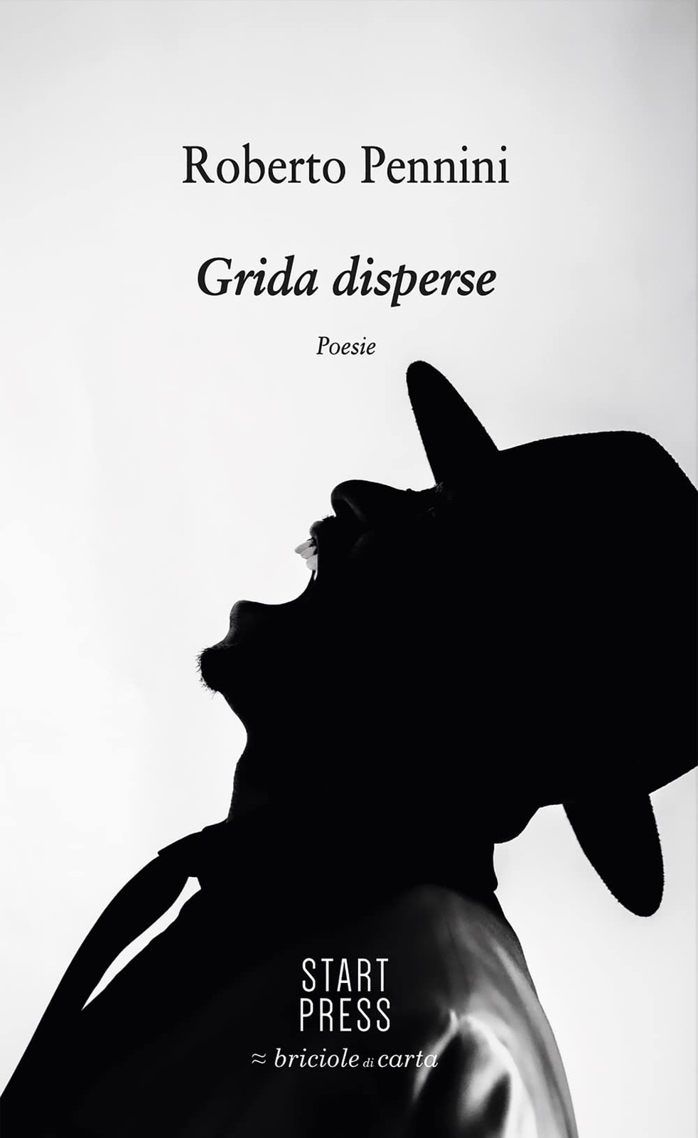 Roberto Pennini Grida disperse (книга в мягкой обложке) (ИМПОРТ ИЗ Великобритании)
