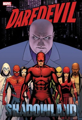 Daredevil: Shadowland Omnibus Cassaday Cover (New Printing) | Diggle (u. a.)