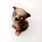 Foto 1 di 7