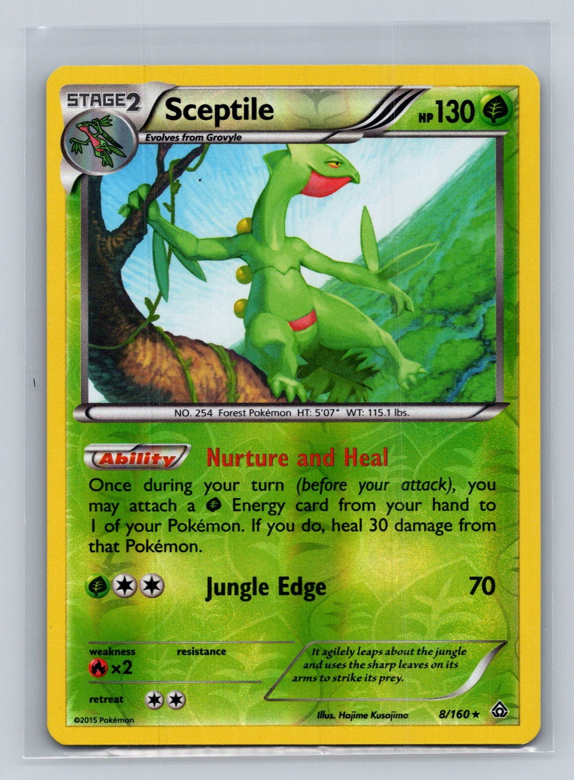 Sceptile Rare XY - Primal Clash 8/160 LP