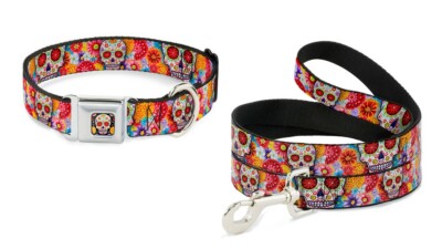 Buckle Down Dog Collar or Leash Thaneeya Sugar Skull Pink Starburst Day o  Dead