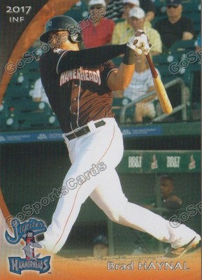 2017 Jupiter Hammerheads Brad Haynal RC Rookie Miami Marlins