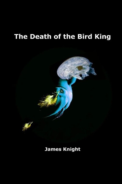 James Knight | The Death Of The Bird King | Taschenbuch | Englisch (2012)-image