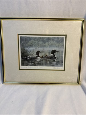#ad Framed Matted Loon Art Print By Don Li Leger Titled Northern Reflections $49.99