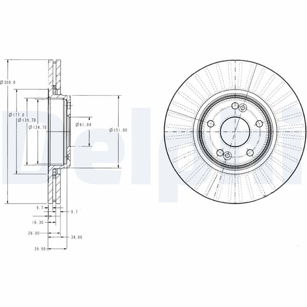 2X Delphi Bremsscheibe BG3688 FüR Renault Laguna KG0 BG0 2 16V BG0A BG0L BG1G-image