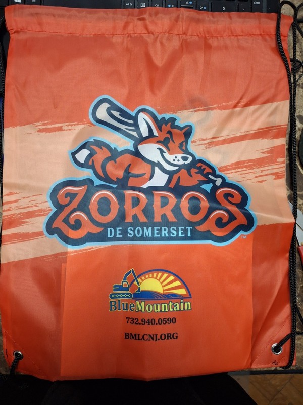 Somerset Patriots (Zorros De Somerset) String Backpack Bag New York Yankees 