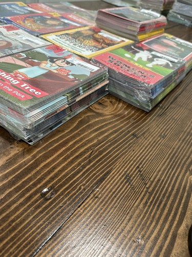 Just Right Reader High Interest Decodables Classpack (6 Copies of 60 Titles) - 第 11/17 張圖片