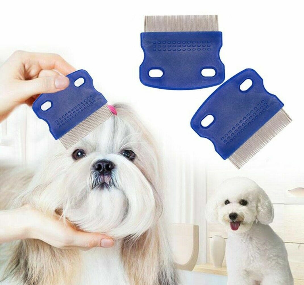 Head Lice Metal Comb Nit Hair Pet Safe Flea Comb Kids or Pets eBay