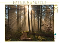 Calvendo Puzzle Fog In The Forest | 1000 Pieces, Finished Size 25.2 × 18.9 In (6