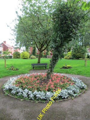 Foto 12x8 Blumen im Westwood Erholungsgebiet, Lauch Lauch\/SJ9856 A Fluss c2015