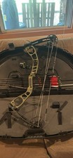 Elite Ember Compound Bow CBE three line sight 6 carbon arrows