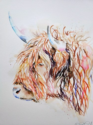 Original watercolour painting signed by Elle Smith Art of A Shaggy Cow, artwork, - Picture 7 of 9