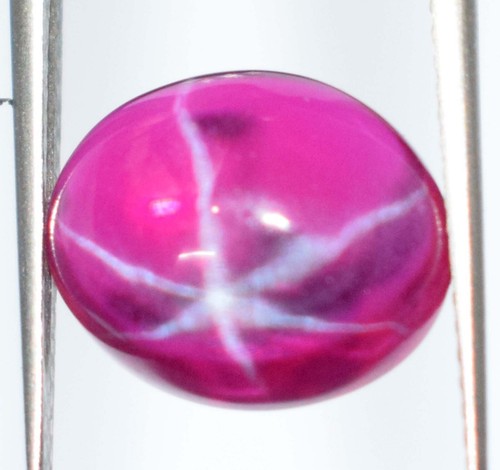 Certified Natural Star Red Ruby 6.90 Ct/12 mm Oval Cabochon Loose Gemstone E1429 - Foto 6 di 8