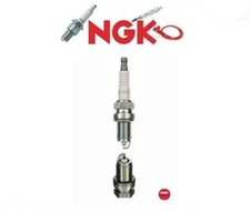 6262 Spark Plug (NGK NTK)
