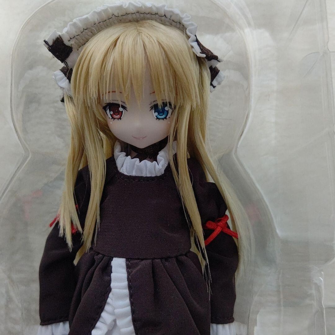 Azone 1/6 Kobato Hasegawa I have few friends Pureneemo Series No