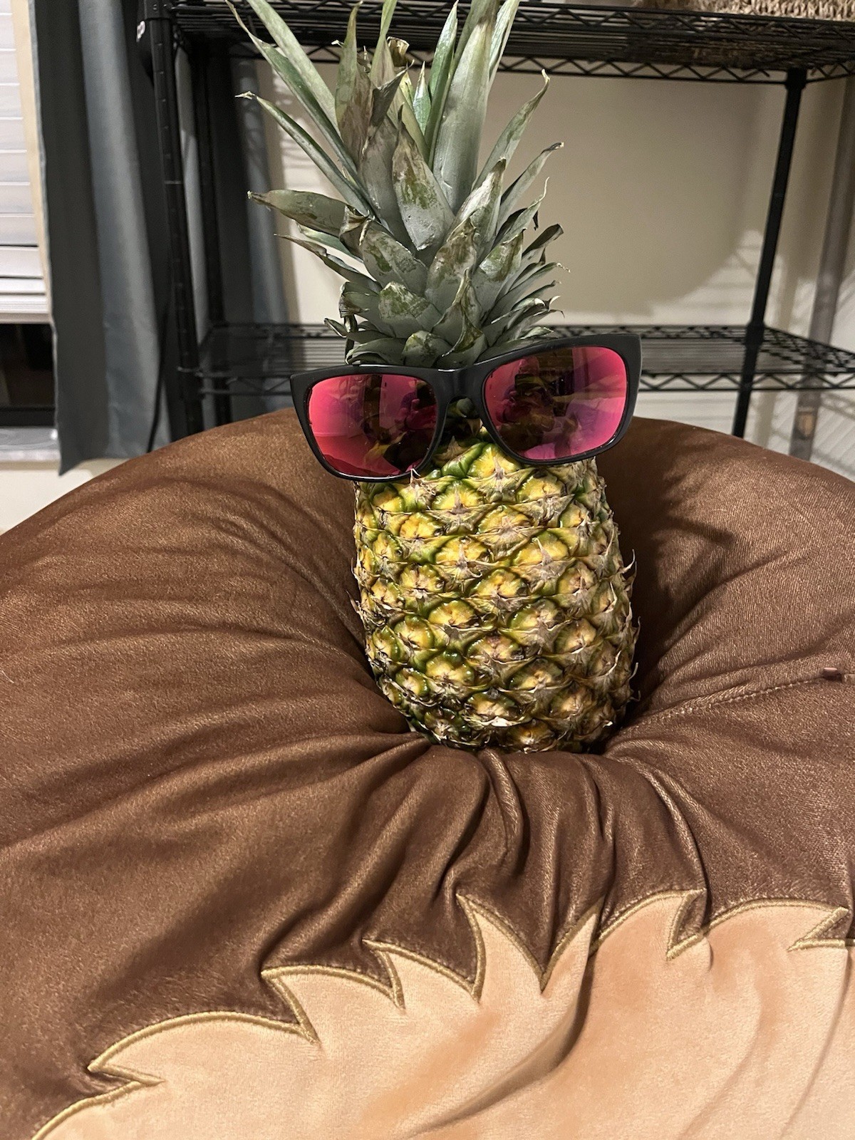 Revo Retro  Black Plastic Frame Red Lens Solid Pa… - image 3