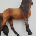 Breyer Horse Classics #480 Mesteno the Messenger Spanish Mustang — photo 10